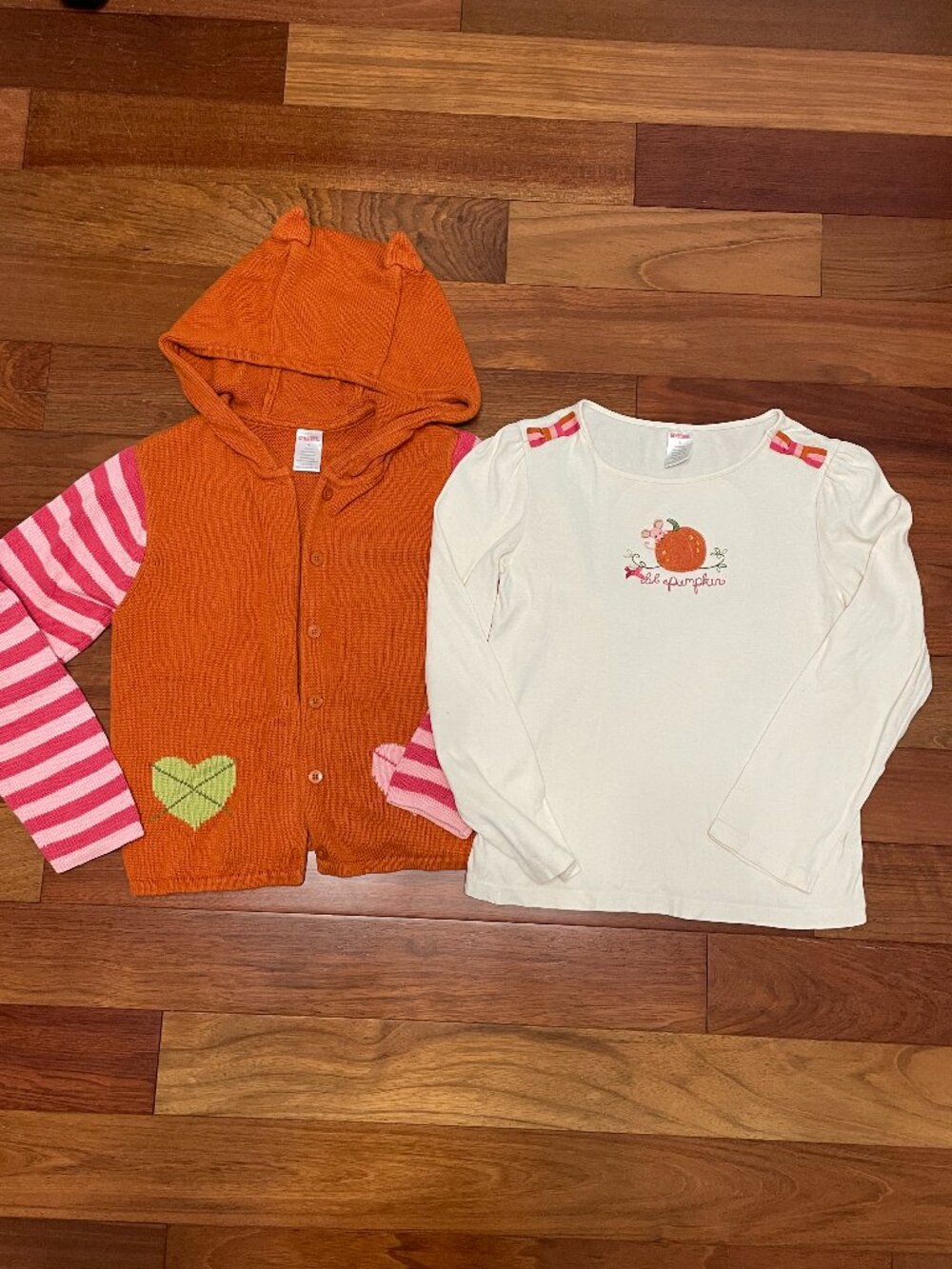 Gymboree Mix n Match Cat hoodie sweater/Mouse top fall color size 9